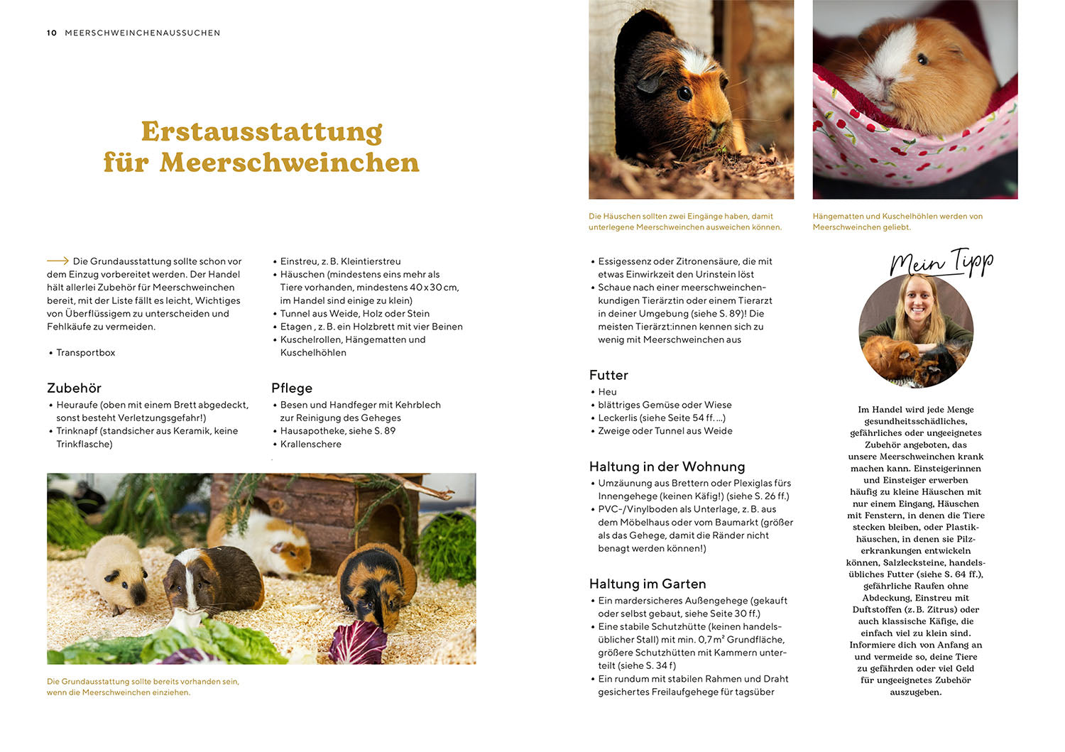 adventure-games-b-cher-meerschweinchen-ratgeber-ersthalter image 3
