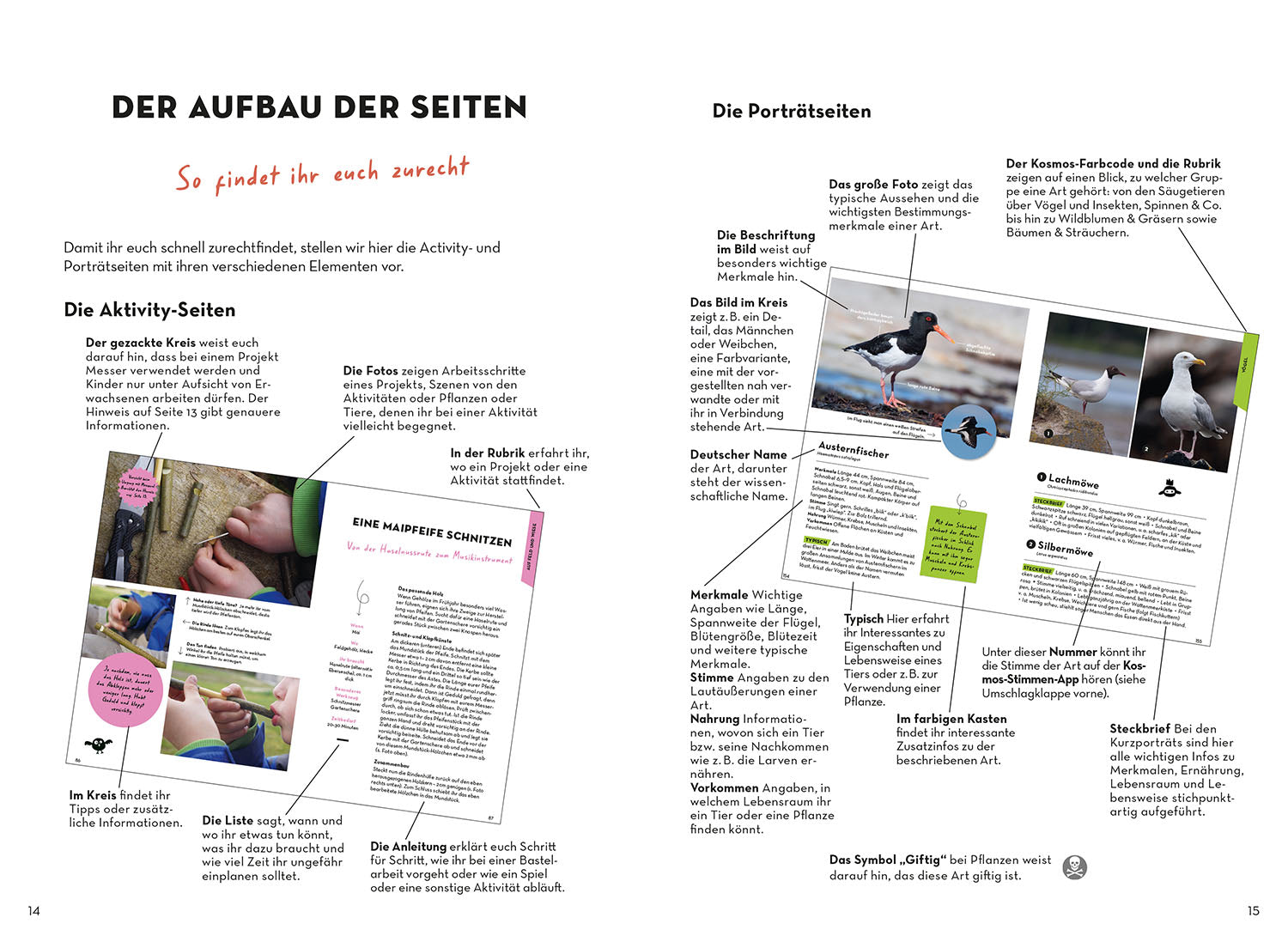 kosmos-familien-naturf-hrer-buch-f-r-familie-mit-tier-und-pflanzenwissen image 4