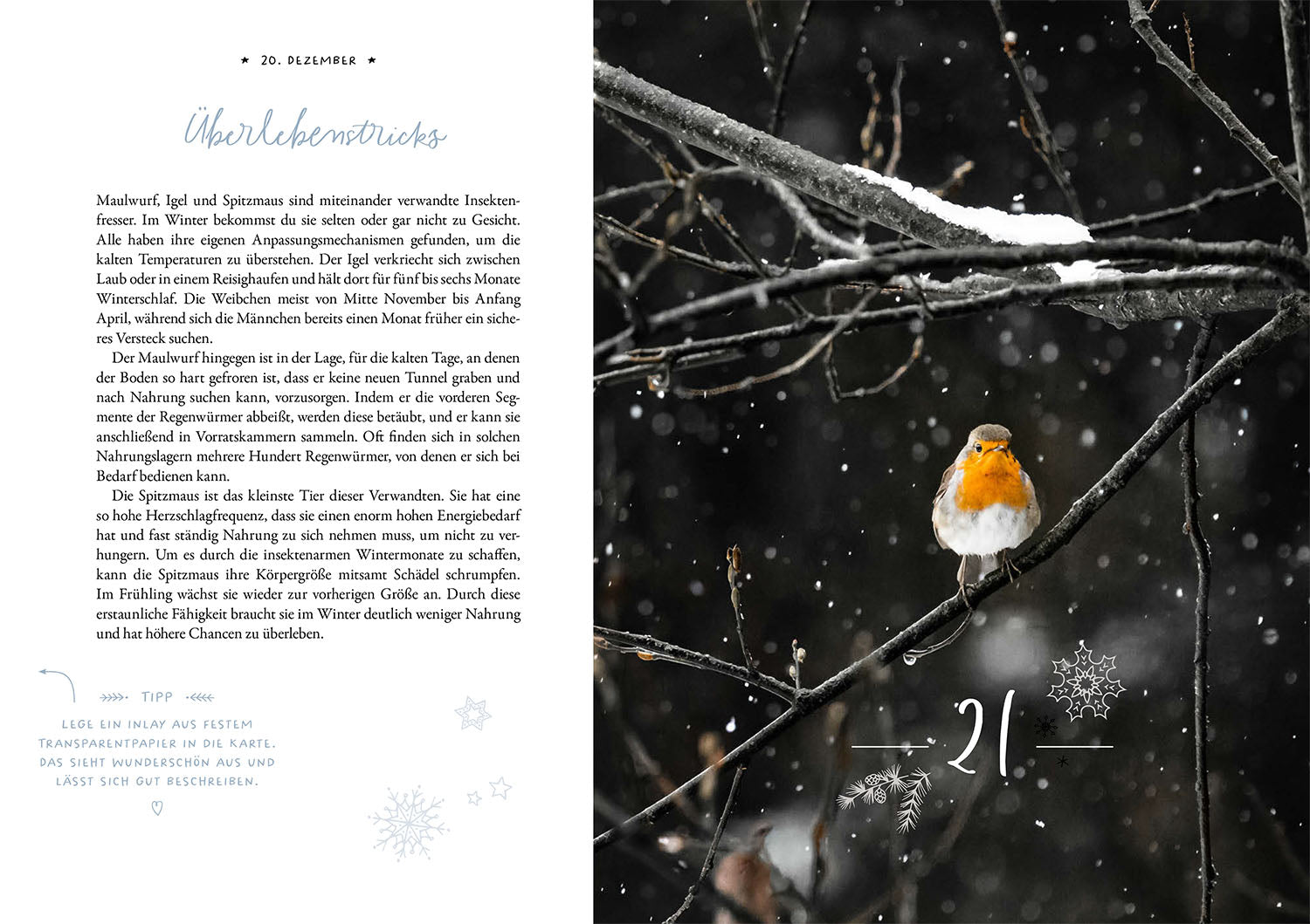 kosmos-winter-moments-in-nature-adventskalender-buch image 6