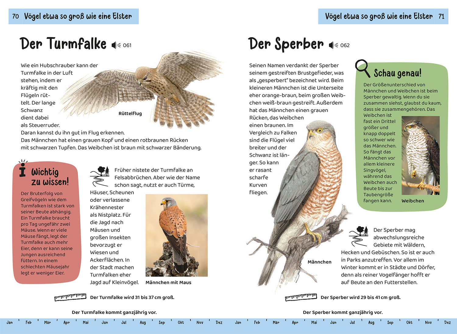 kosmos-welcher-gartenvogel-ist-das-kindernaturf-hrer-mit-app image 5