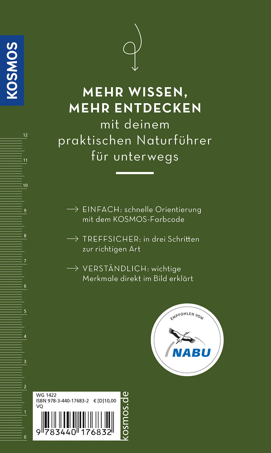 basic-heilpflanzen-naturf-hrer-100-heilkr-uter-buch image 2