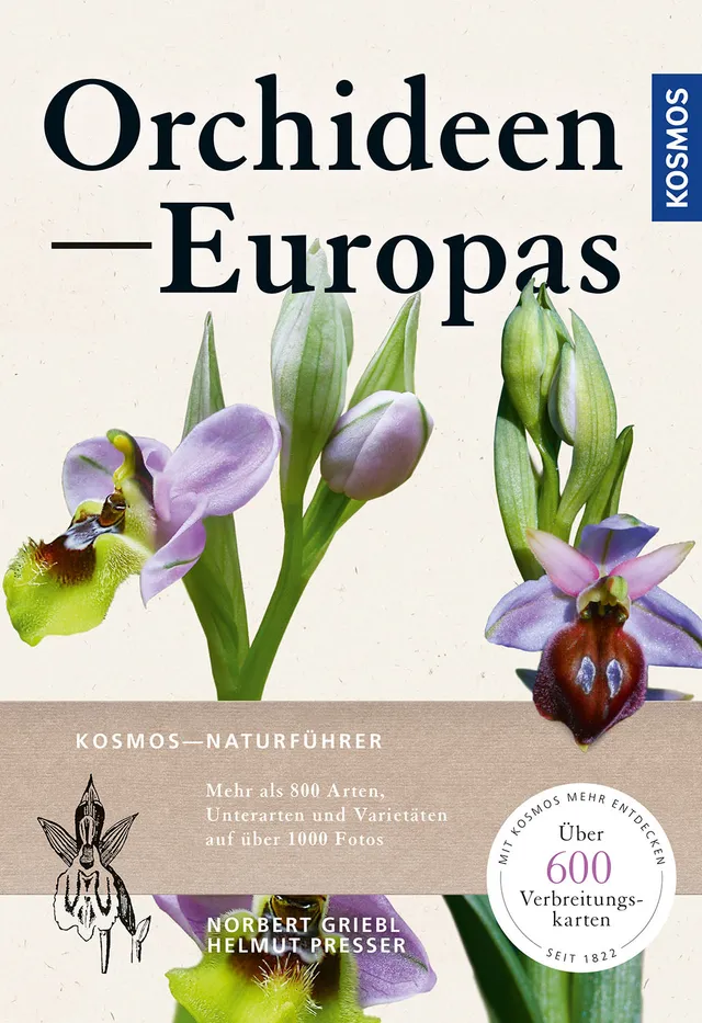kosmos-orchideen-europas-naturf-hrer-ebook-arten-bestimmung image 1