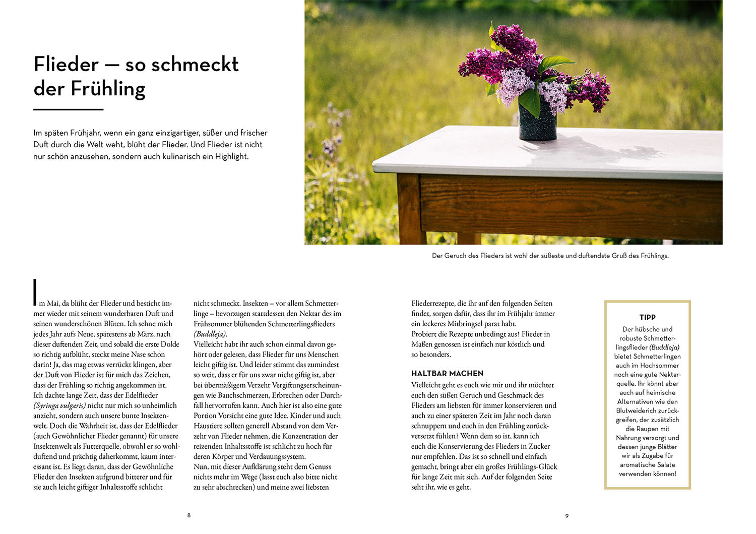 kosmos-geschenke-pflanzen-gartenbuch-diy-geschenke-aus-dem-garten image 3
