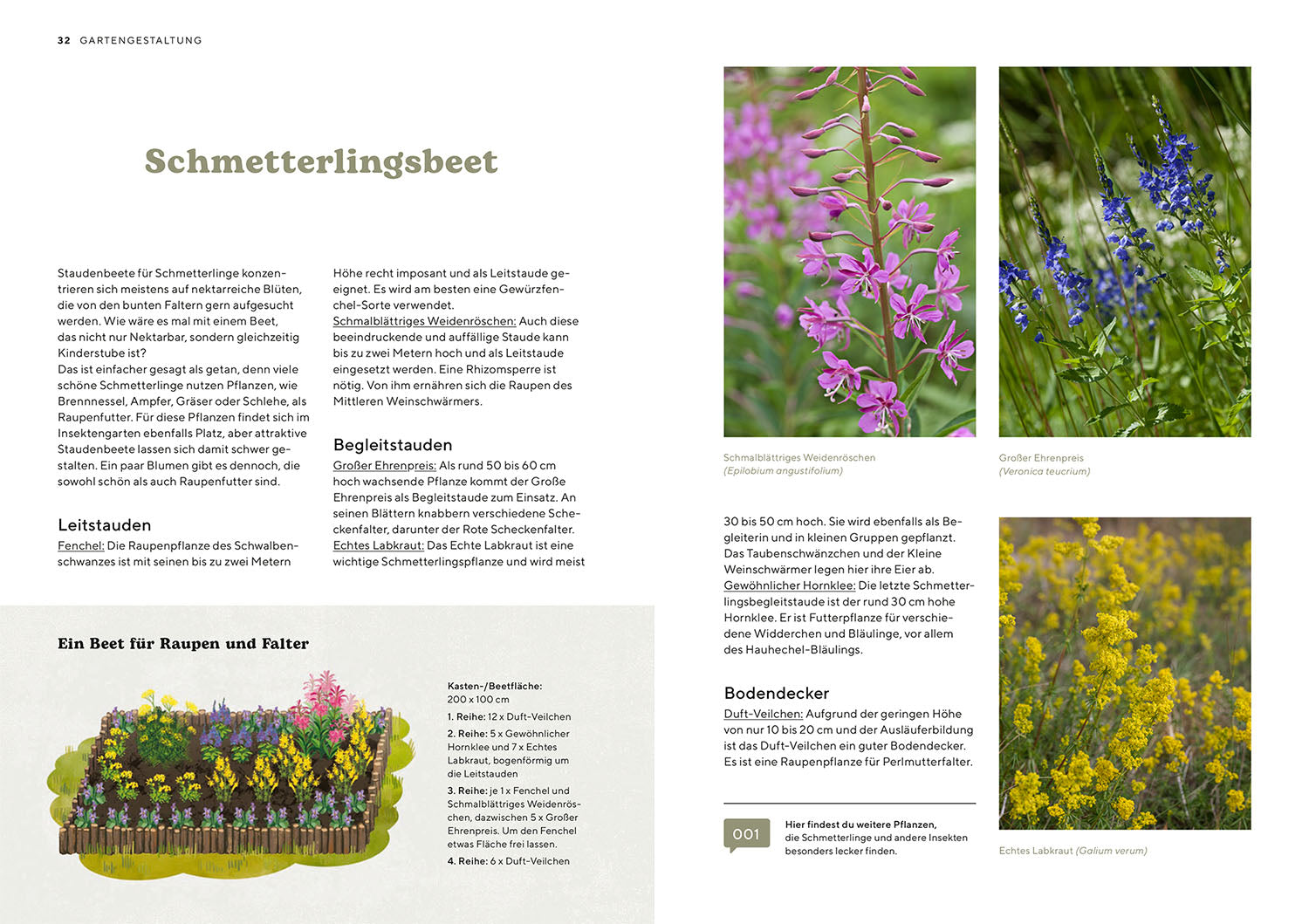 kosmos-mein-insektenparadies-gartenbuch-bienen-hummeln image 3