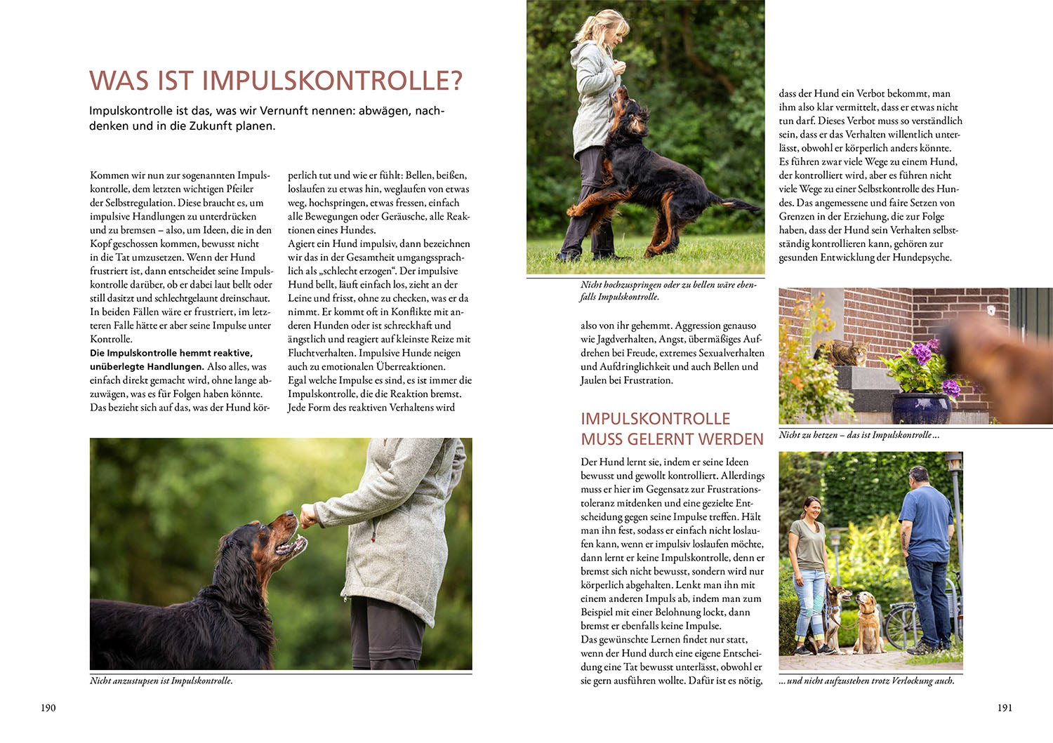 kosmos-frust-lass-nach-hunde-ratgeber-maren-grote image 6