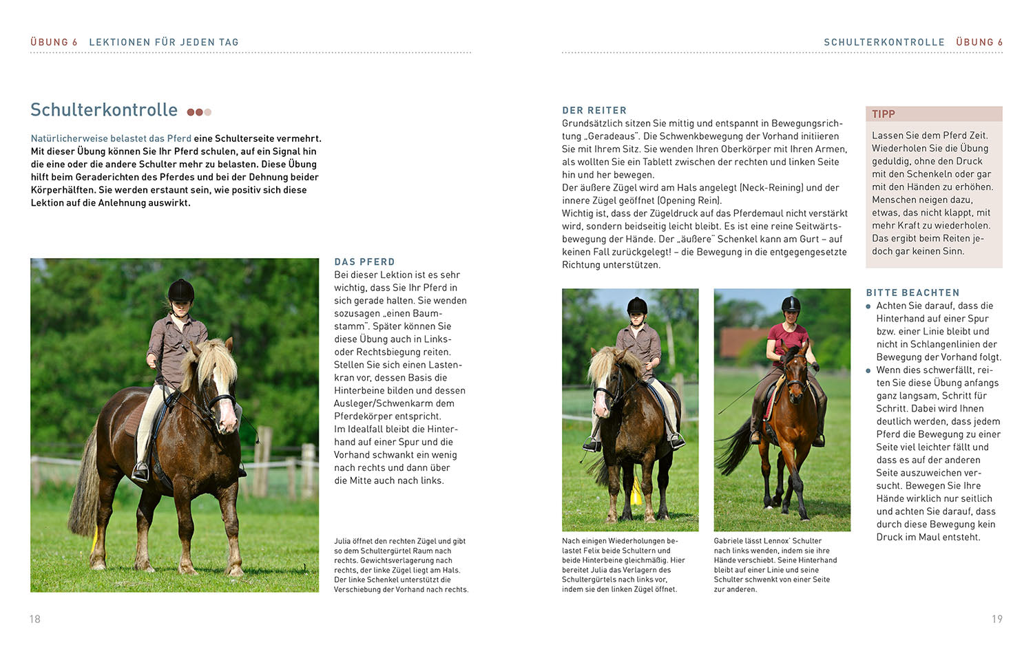 kosmos-lektionen-f-r-die-reitstunde-buch-sibylle-wiemer image 4