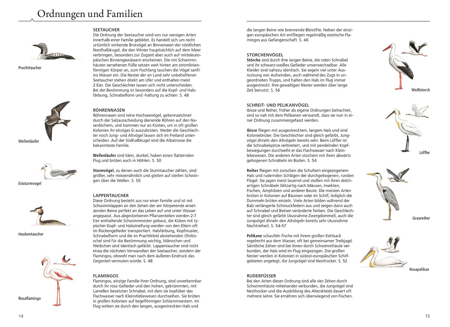was-fliegt-denn-da-das-original-vogelbuch-bestimmung image 3