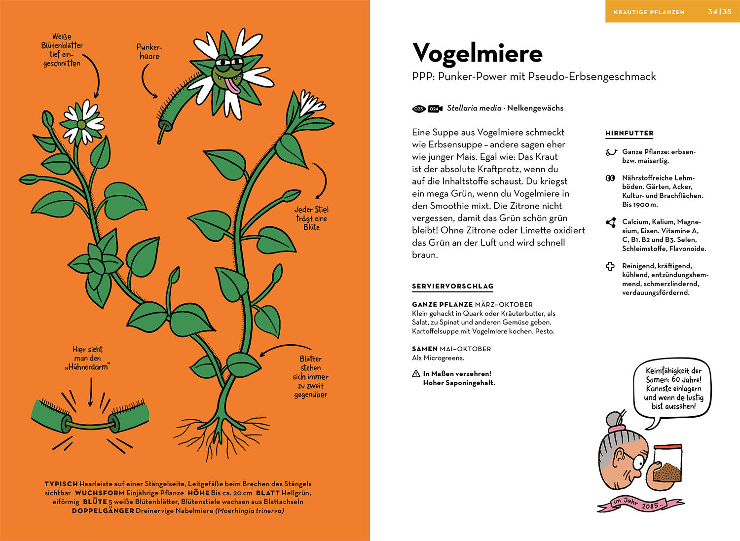 kosmos-wilde-pflanzen-essen-buch-50-arten-rezepte-ratgeber image 3