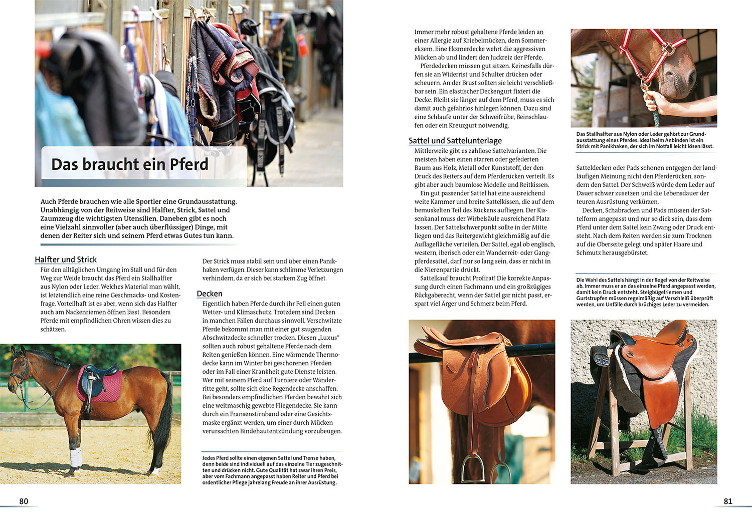 kosmos-alles-ber-pferde-buch-haltung-rassen-reiten image 5