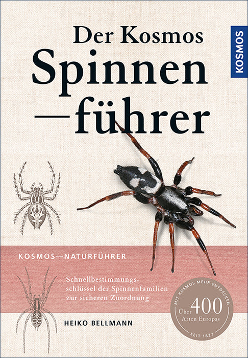 kosmos-spinnenf-hrer-naturf-hrer-ebook-ber-400-spinnenarten image 1