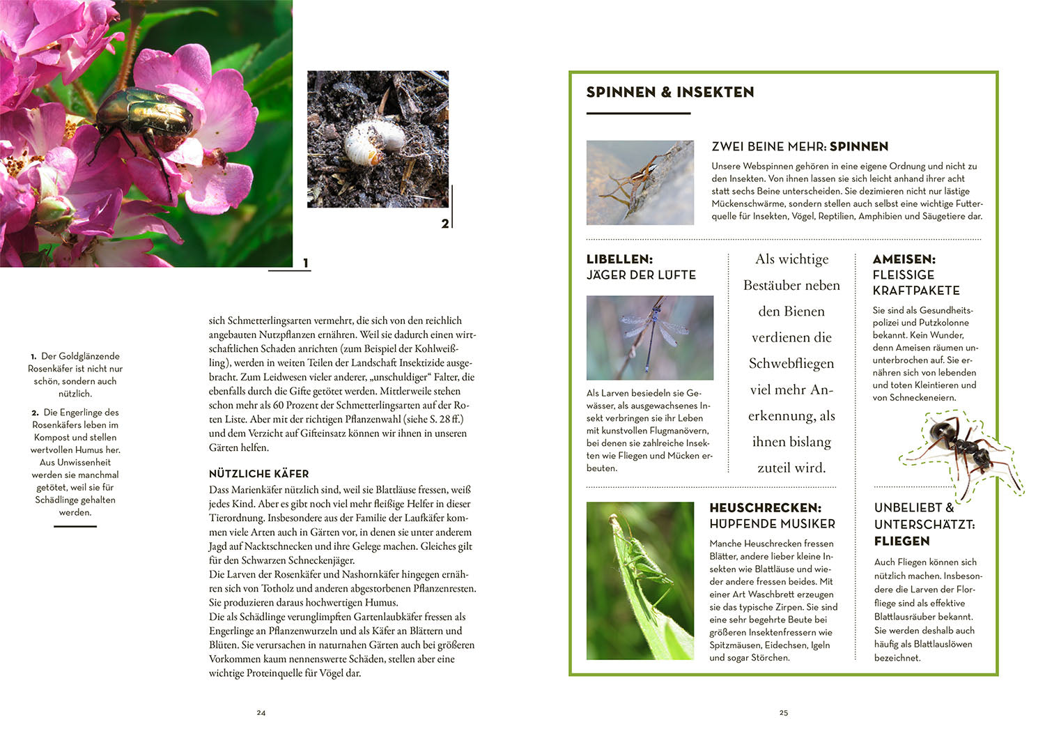 kosmos-tierisch-guter-garten-gartenbuch-artenschutz image 4