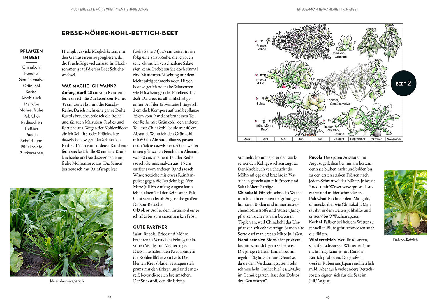 kosmos-wer-kann-mit-wem-im-beet-mischkultur-gartenbuch image 5