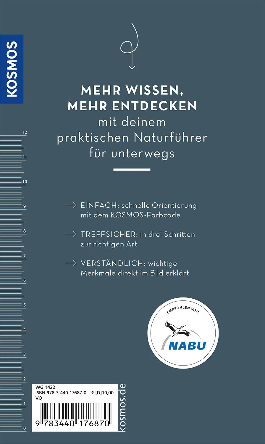 kosmos-basic-spinnen-naturf-hrer-taschenformat image 2