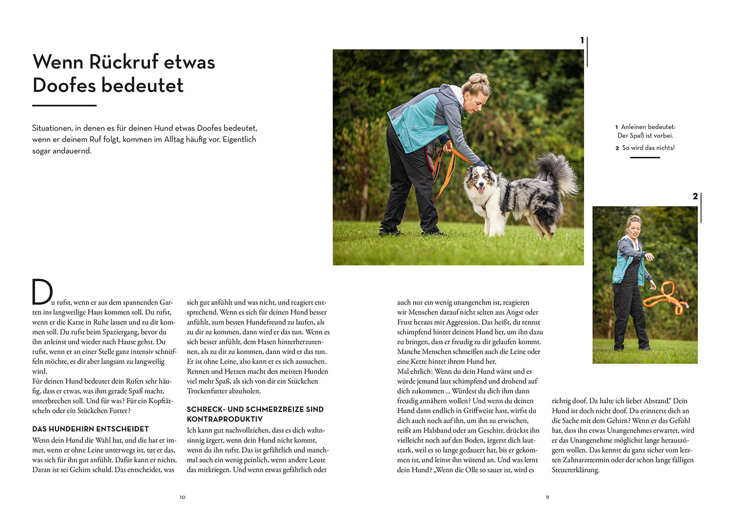 kosmos-raketenstart-r-ckruf-hundebuch-markertraining-2 image 3