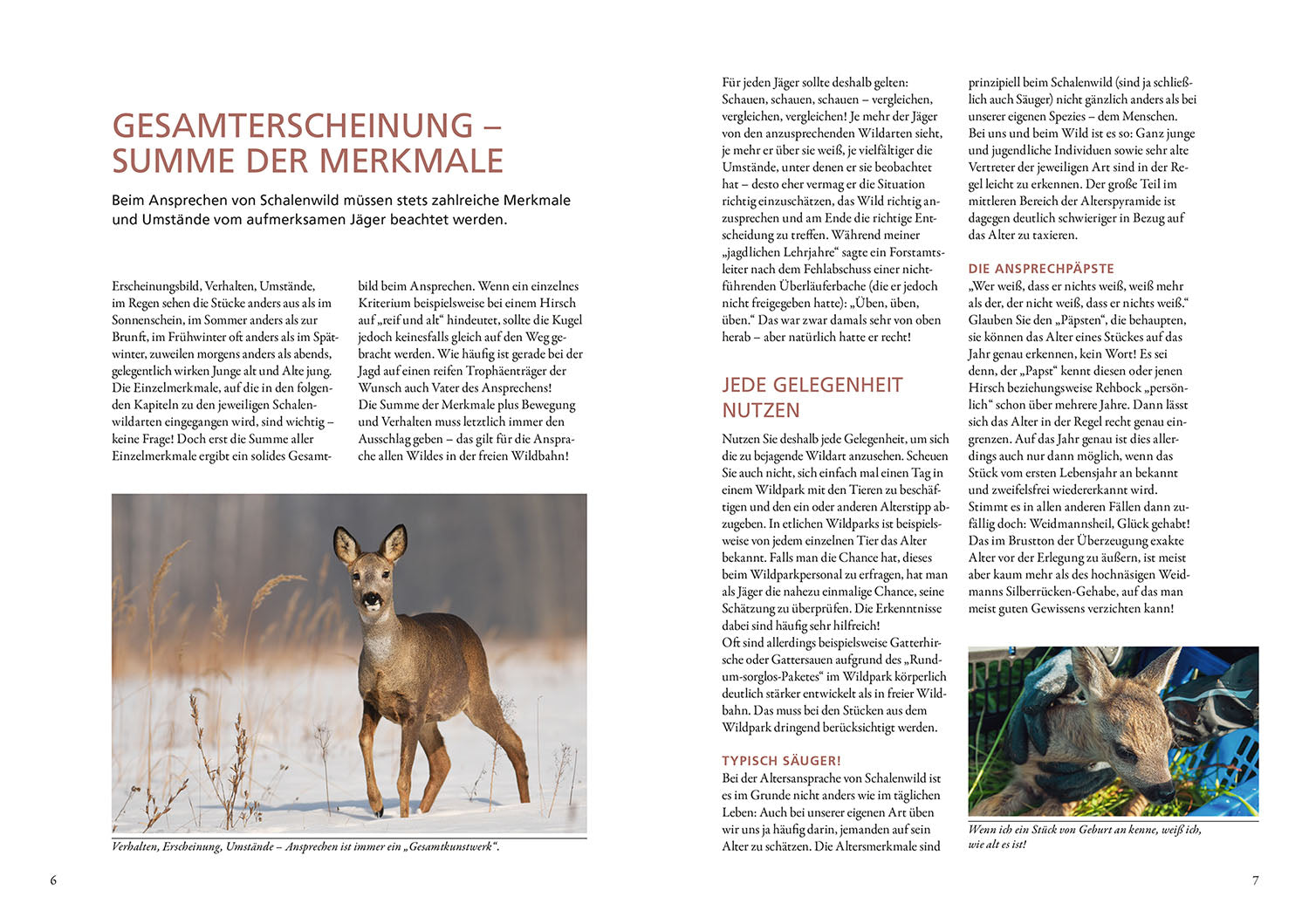 kosmos-die-altersansprache-des-schalenwilds-ratgeber-jagd image 3