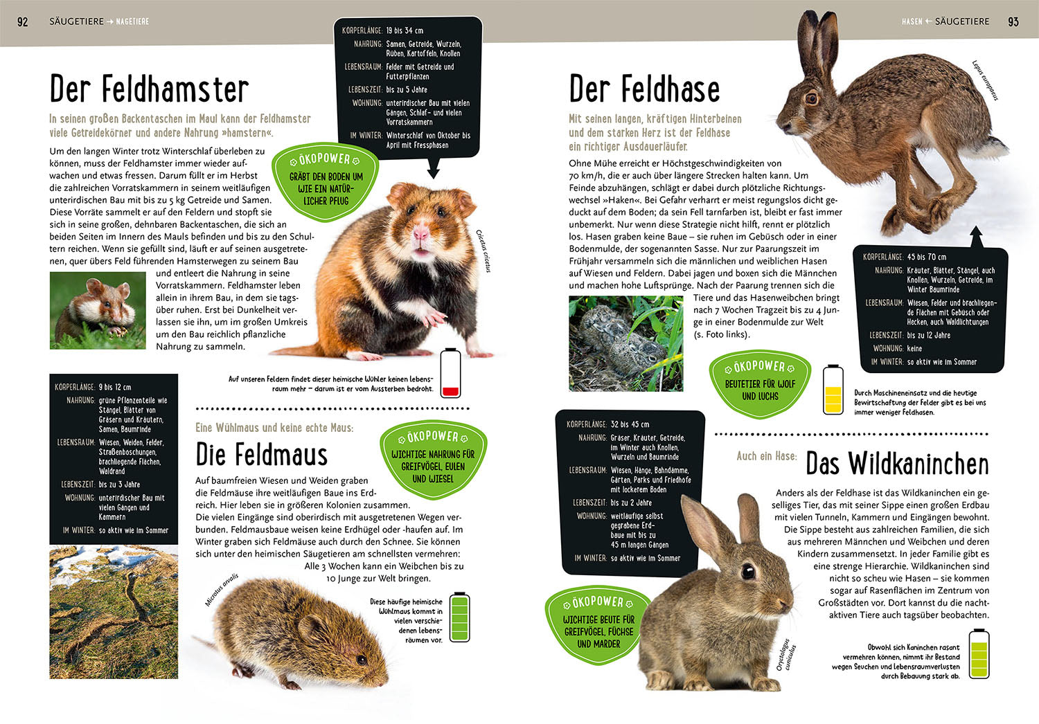 kosmos-mein-kosmos-buch-natur-sachbuch-f-r-grundschulkinder image 5