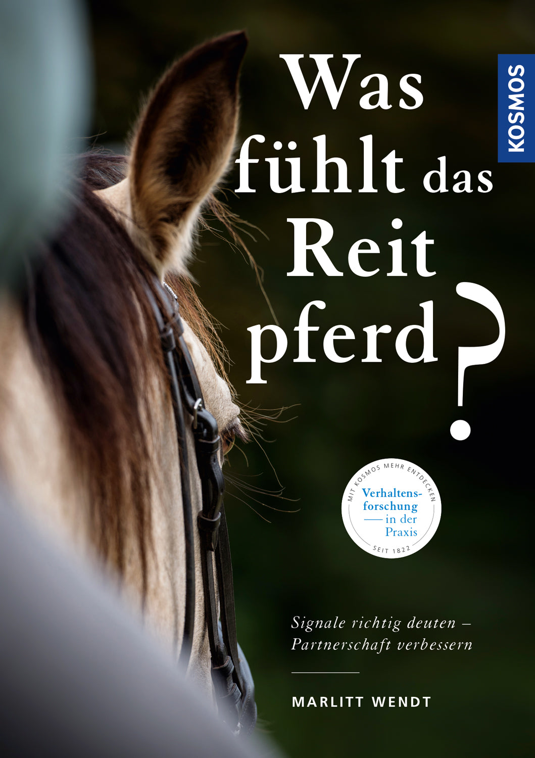 marlitt-wendt-was-f-hlt-das-reitpferd-pferdebuch-ratgeber image 1