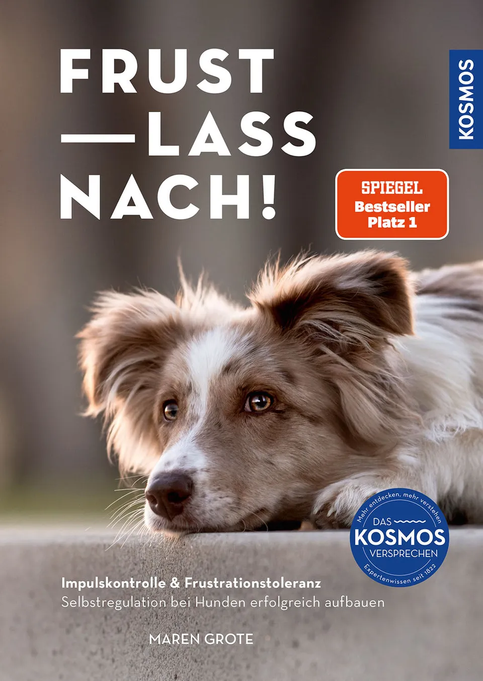 frust-lass-nach-maren-grote-e-book-hundetraining image 1