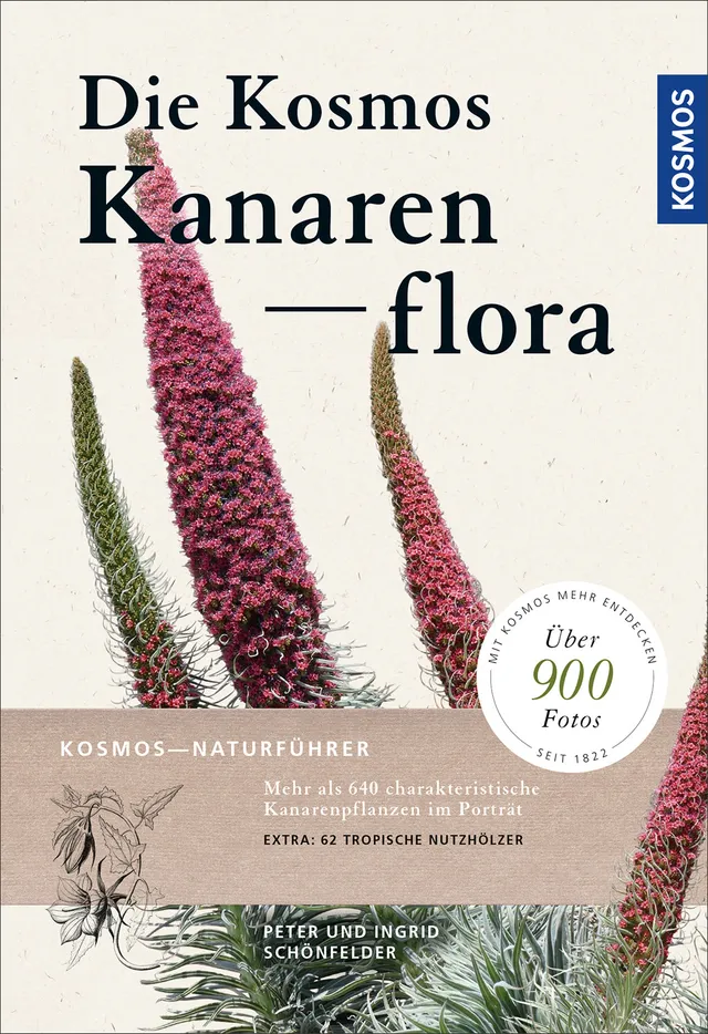 kosmos-kanarenflora-bestimmungsbuch-640-pflanzenportr-ts-fotos image 1
