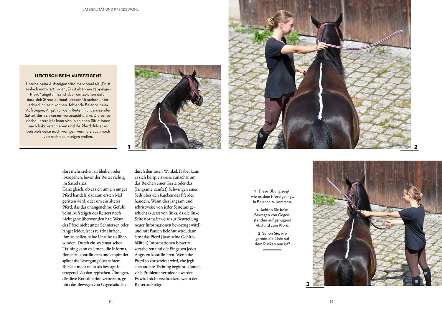 kosmos-lateralit-t-bei-pferden-buch-praxishandbuch-training image 6
