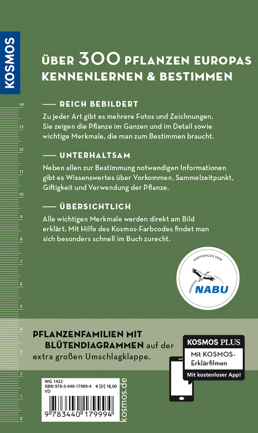 die-zauberkicker-welche-essbare-wildpflanze-ist-das-pflanzenf-hrer image 2