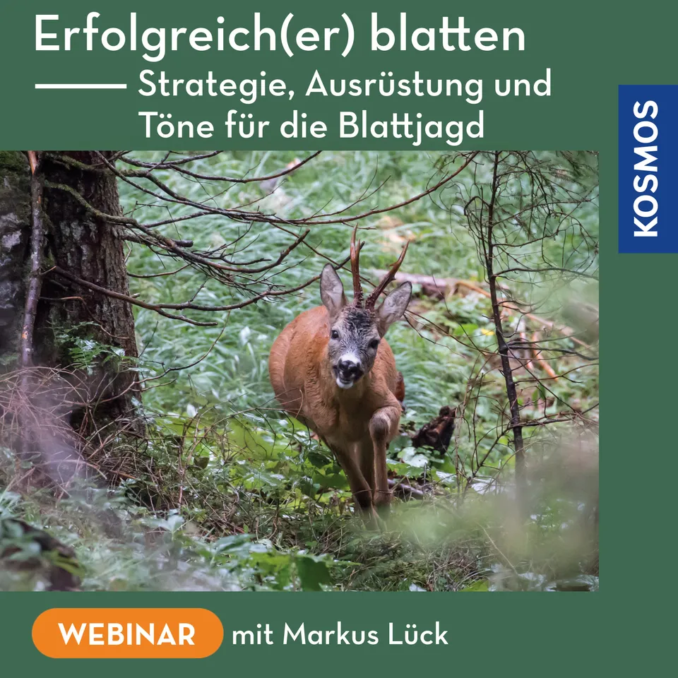 die-zauberkicker-erfolgreich-er-blatten-webinar-blattjagd-live image 1