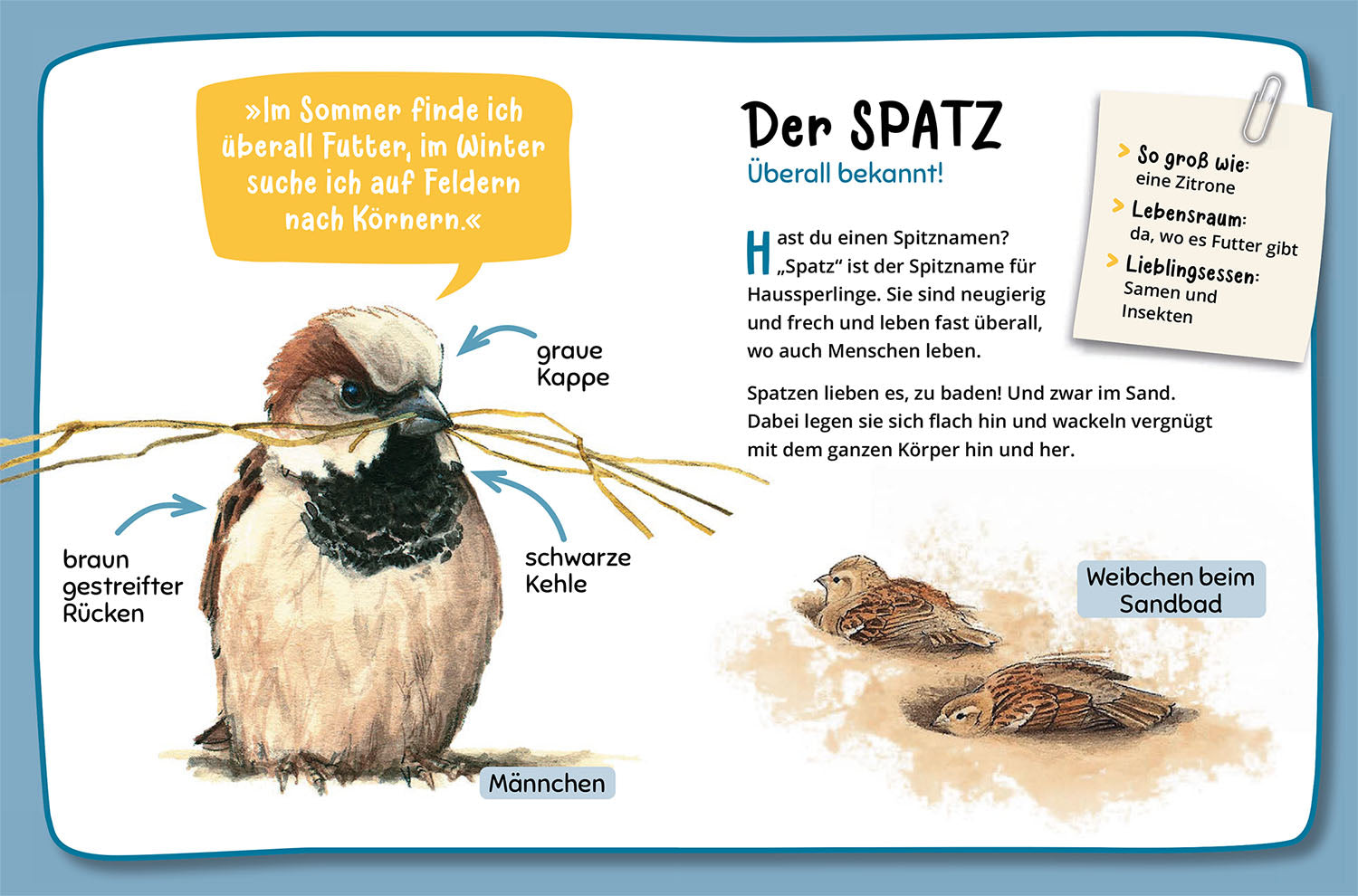 kosmos-mein-erster-naturf-hrer-was-fliegt-denn-da-vogelbuch-ab-4 image 4