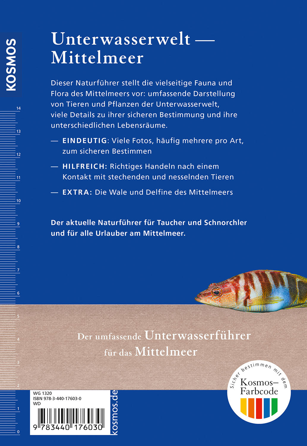 kosmos-was-lebt-im-mittelmeer-naturf-hrer-400-arten image 2