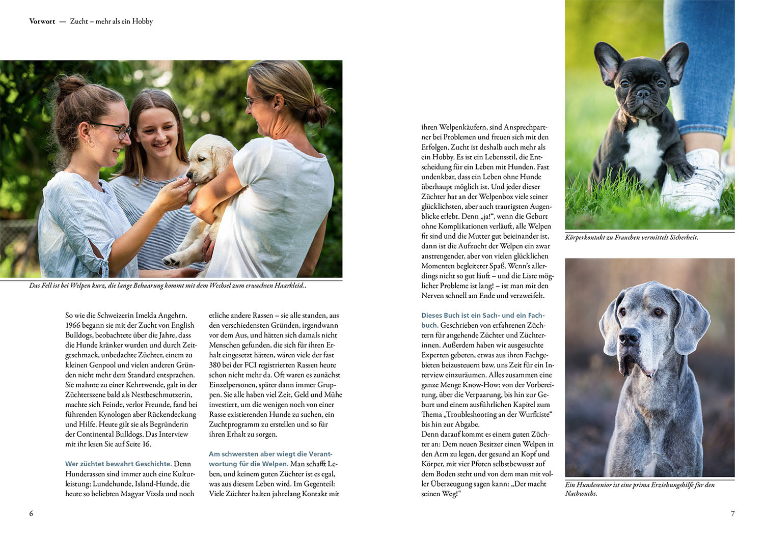 die-zauberkicker-das-zuchtbuch-ratgeber-hundezucht-welpen image 3