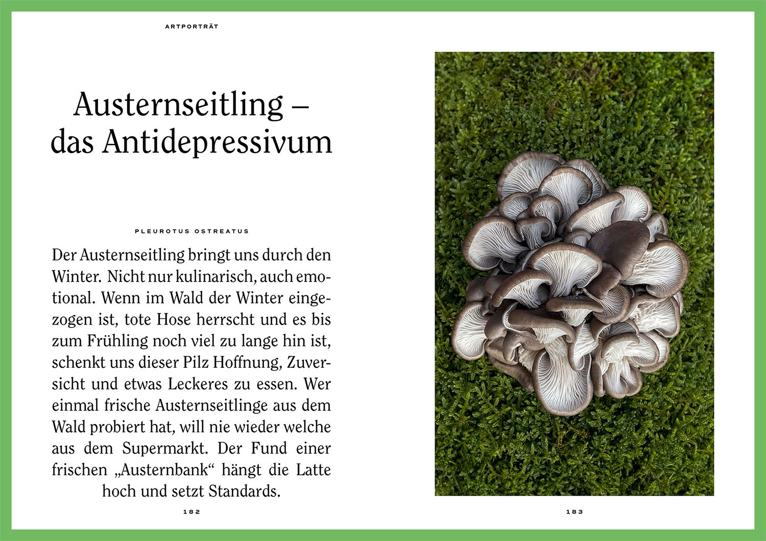 kosmos-mushroom-fever-buch-pilze-sammeln-moritz-schmid-2 image 6
