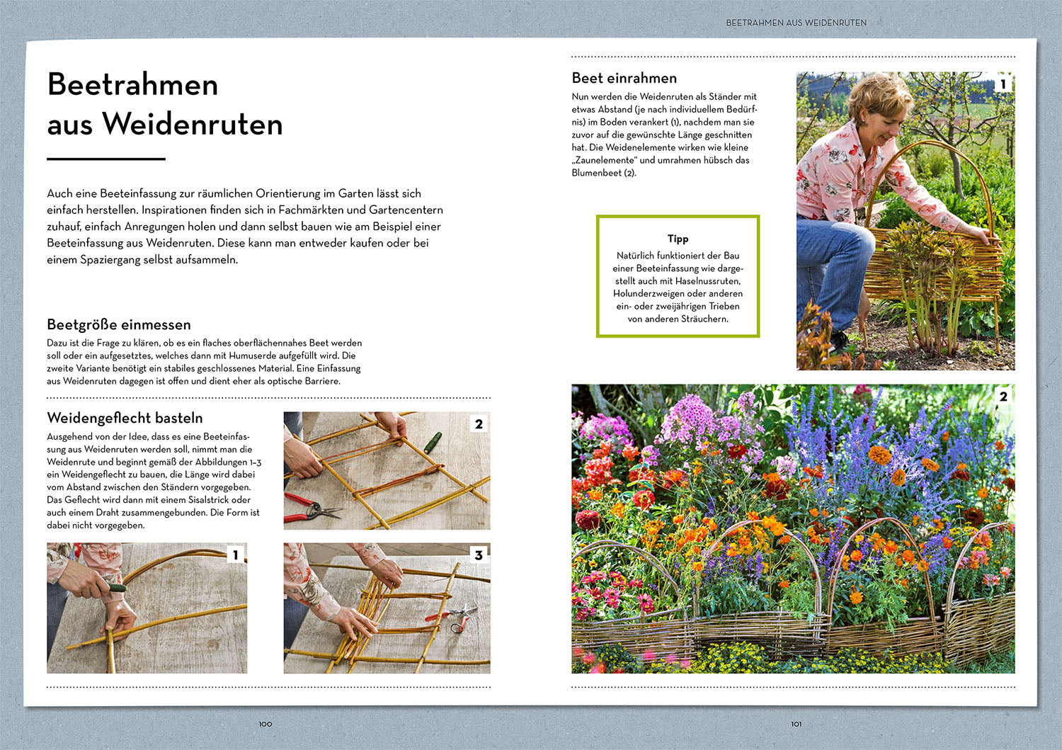 oase-k-hler-garten-ratgeber-gartenbuch-markus-meyer image 5