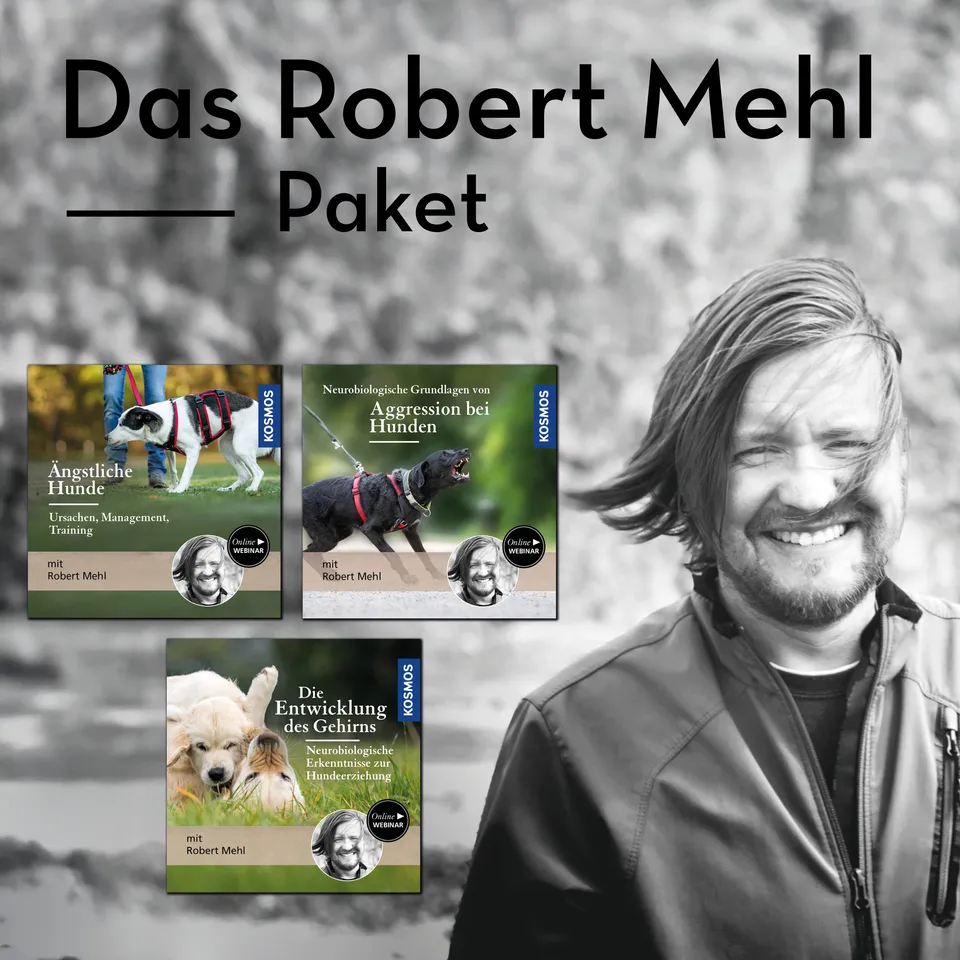 robert-mehl-webinar-paket-hunde-3-webinare-angst-aggression-gehirn image 1