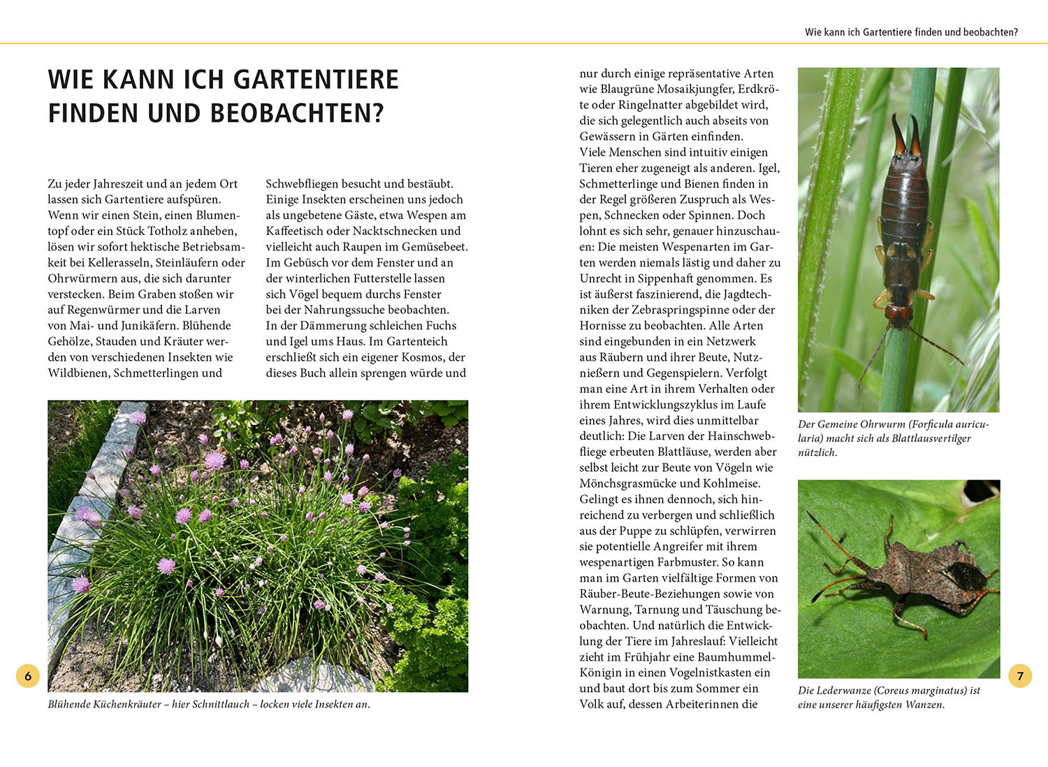 kosmos-gartentiere-lebensgro-naturf-hrer-68-arten-familie image 3