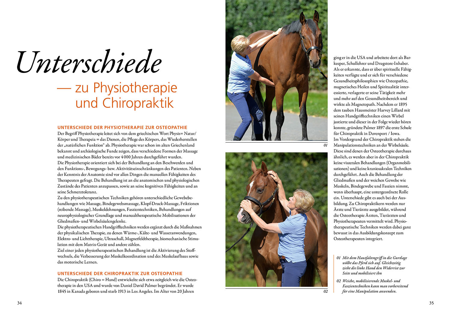 adventure-games-b-cher-osteopathie-f-r-pferde-ratgeber image 4
