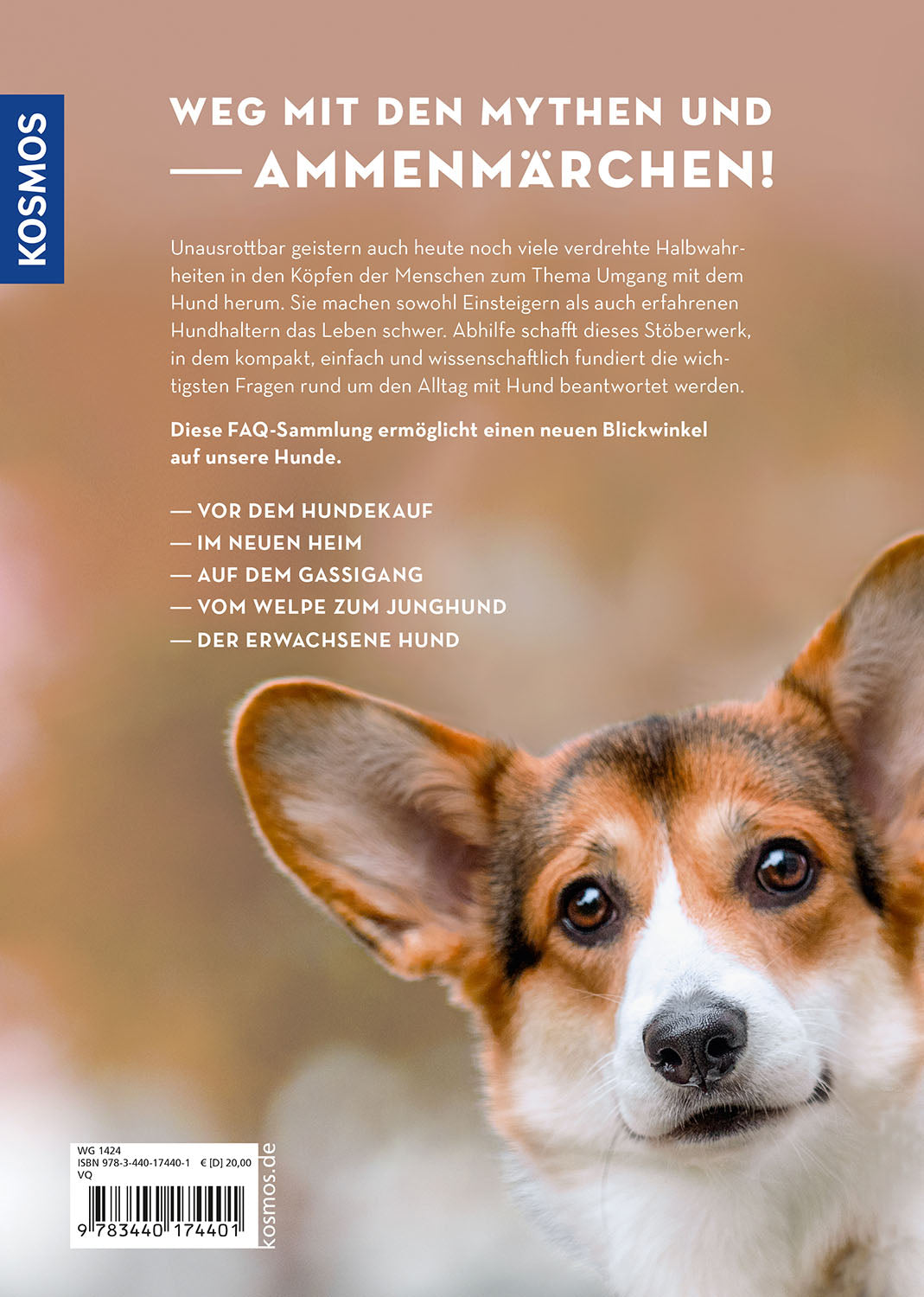 die-zauberkicker-was-braucht-mein-hund-ratgeber-hundeerziehung-hundeschule image 2
