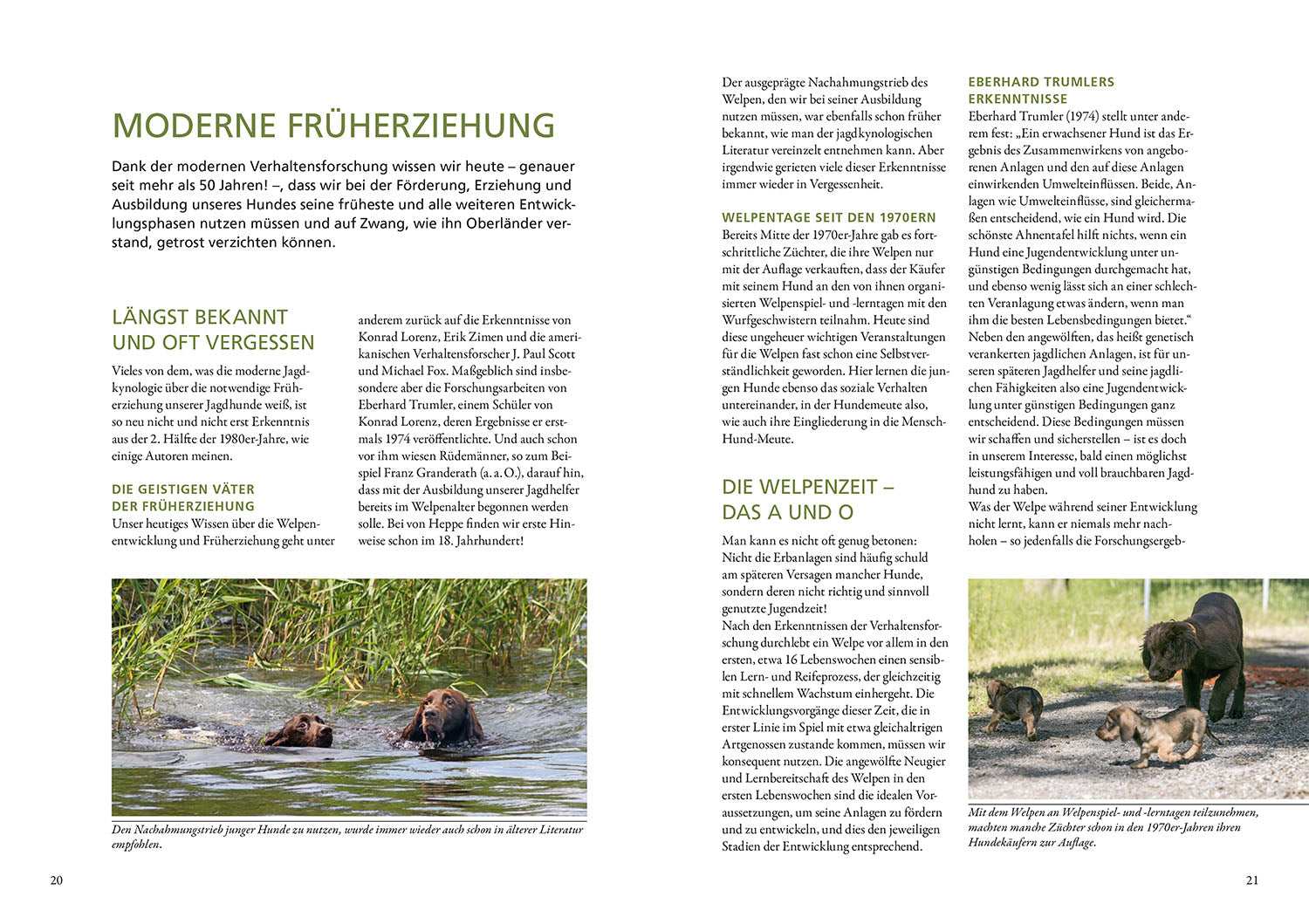 kosmos-der-jagdhundwelpe-buch-fr-herziehung-jagd image 3