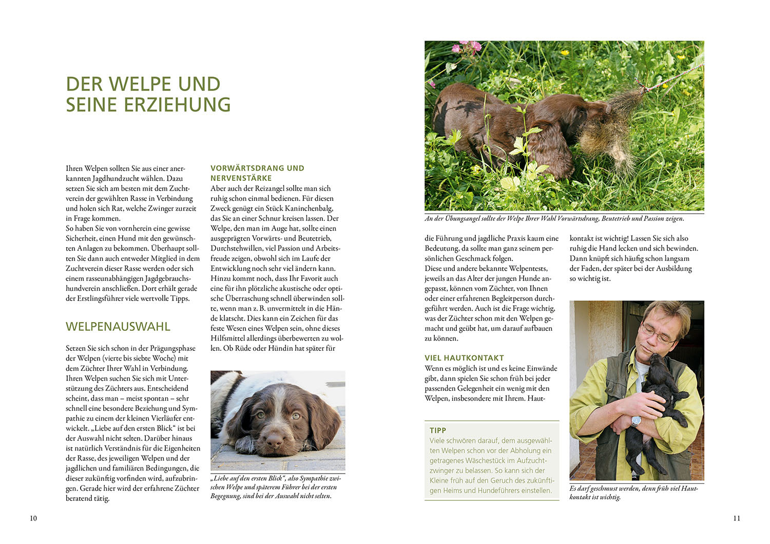 kosmos-vom-welpen-zum-jagdhelfer-ratgeber-jagdhundeausbildung image 3