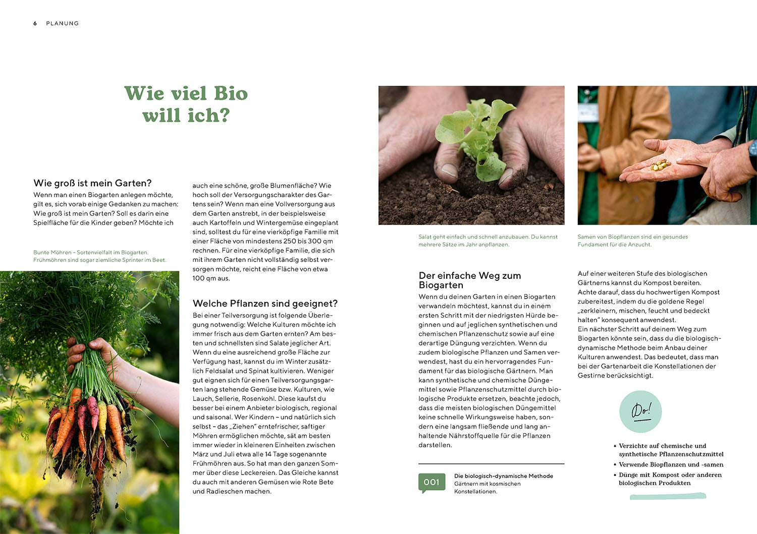 die-zauberkicker-biog-rtnern-buch-bio-garten-einsteiger image 3