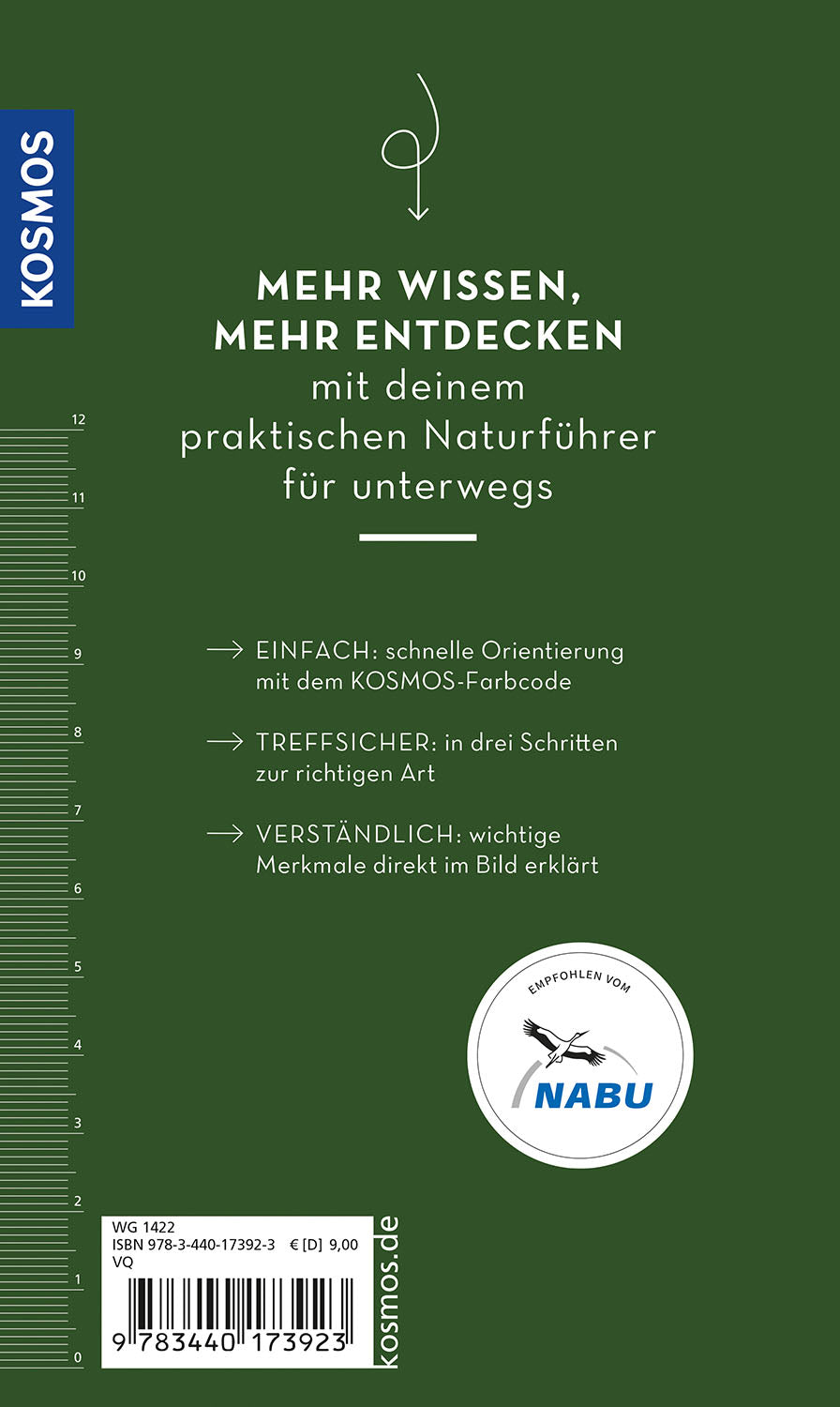 kosmos-basic-fr-chte-und-wildkr-uter-naturf-hrer-2 image 2