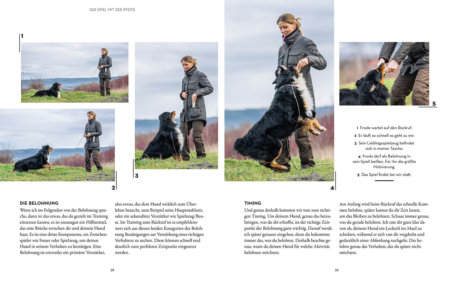 kosmos-das-pfeifenspiel-buch-r-ckruf-hundetraining-5-schritte image 4