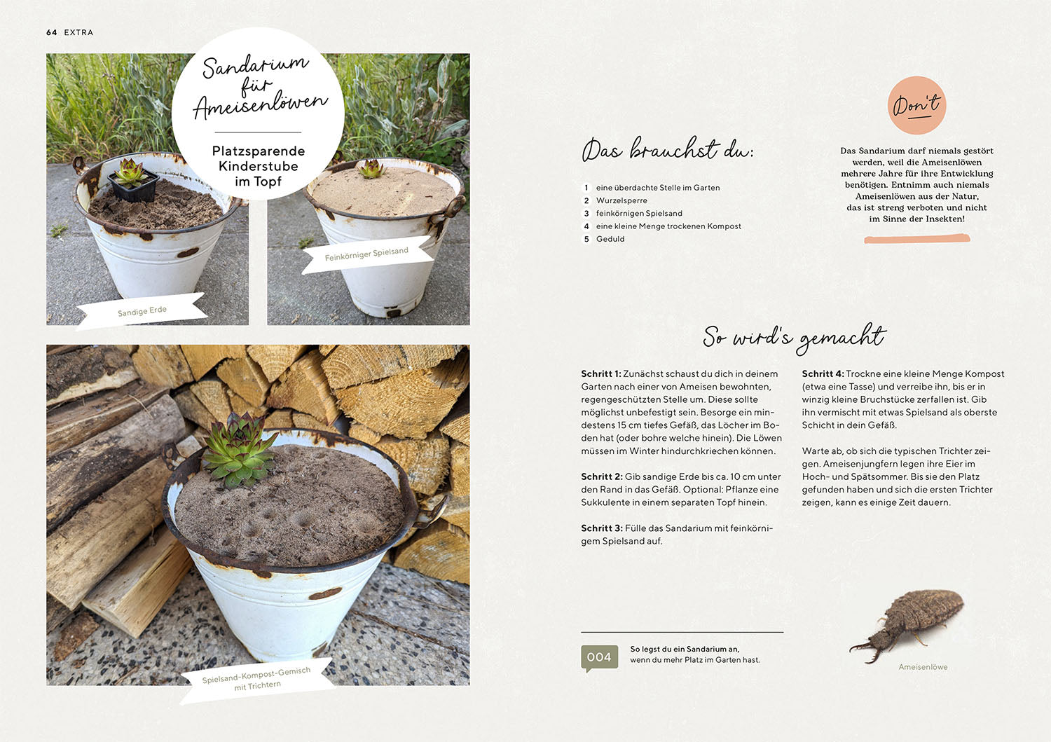 kosmos-mein-insektenparadies-gartenbuch-bienen-hummeln image 5