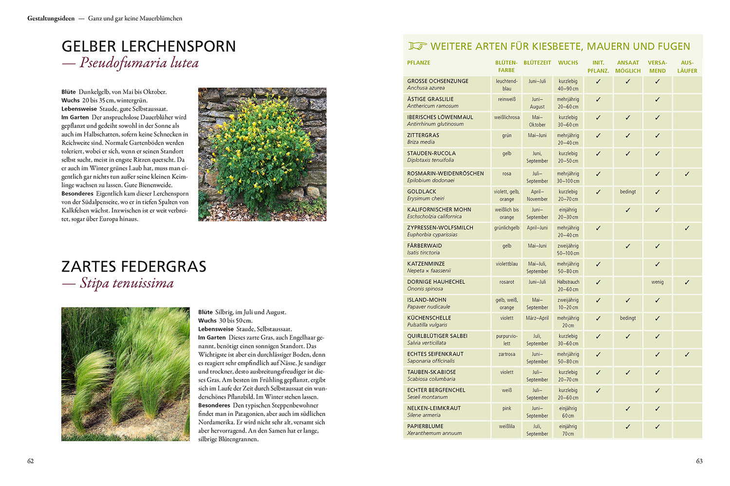kosmos-der-antiautorit-re-garten-buch-naturgarten-simone-kern image 5