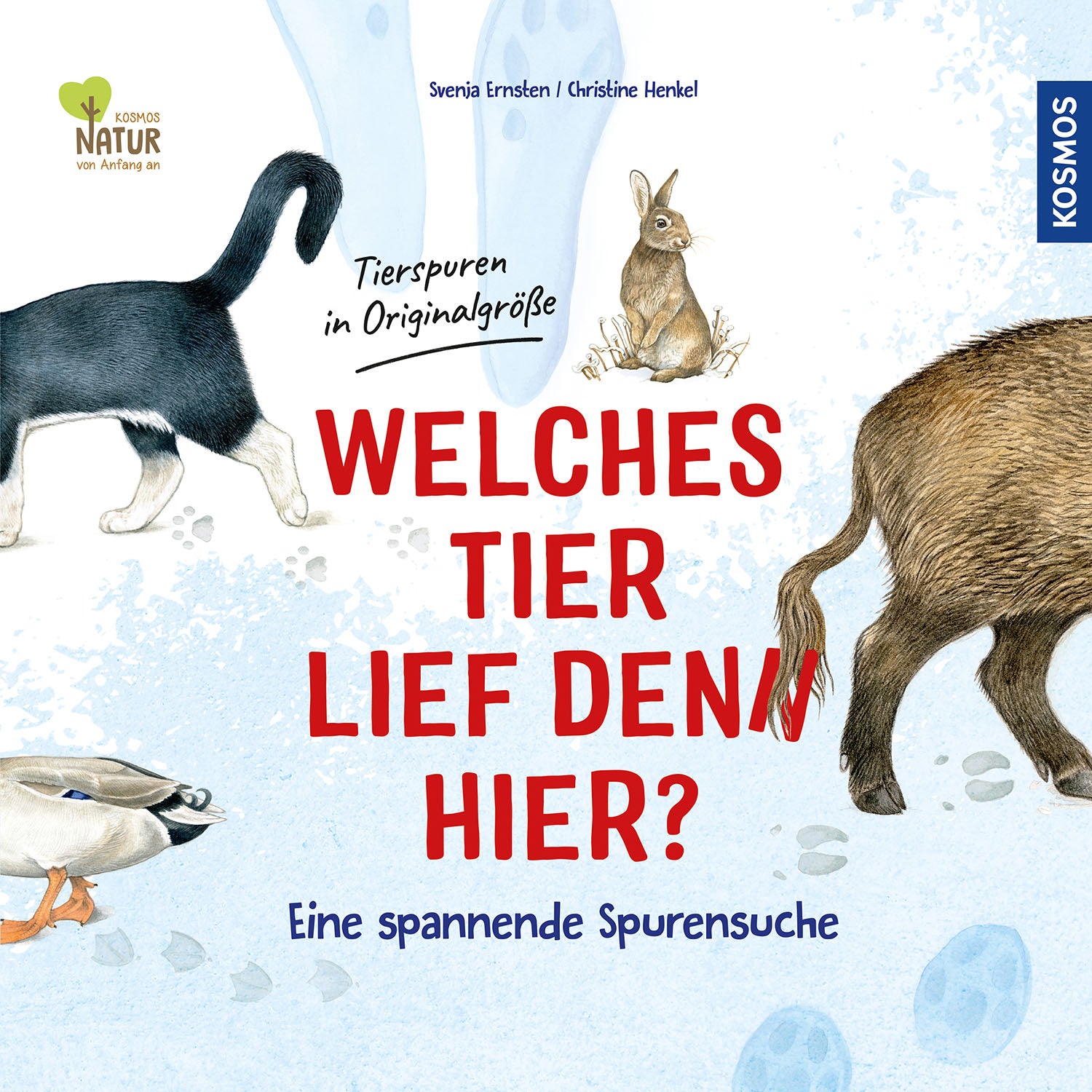 kosmos-welches-tier-lief-denn-hier-bilderbuch-tierspuren image 1
