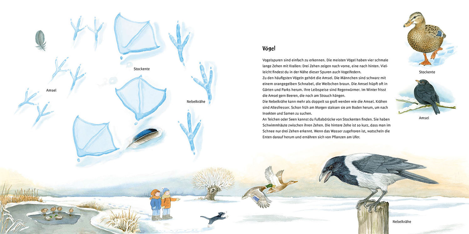 kosmos-welches-tier-lief-denn-hier-bilderbuch-tierspuren image 4