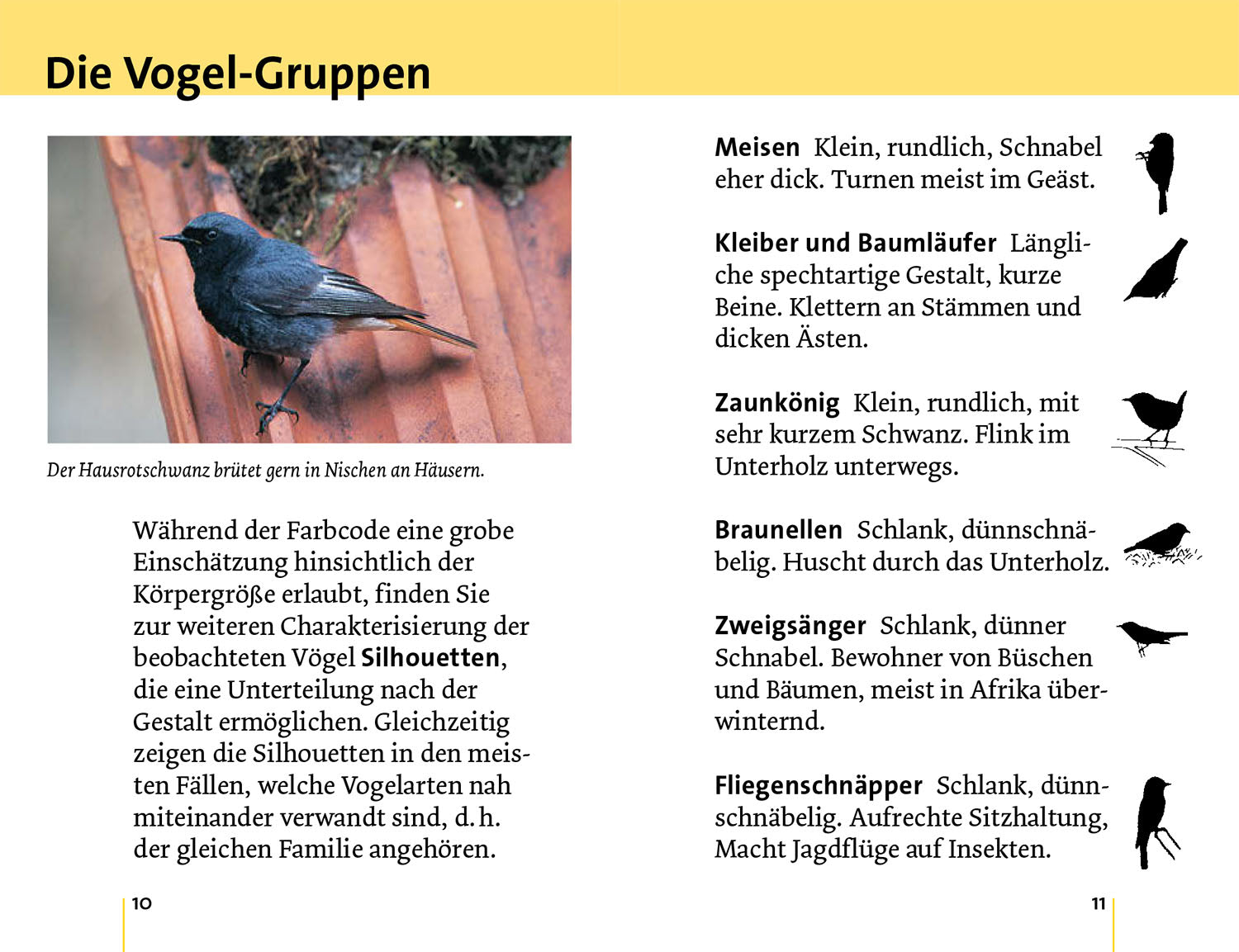 kosmos-alle-v-gel-sind-schon-da-vogelf-hrer-mit-cd-50-gartenv-gel image 3