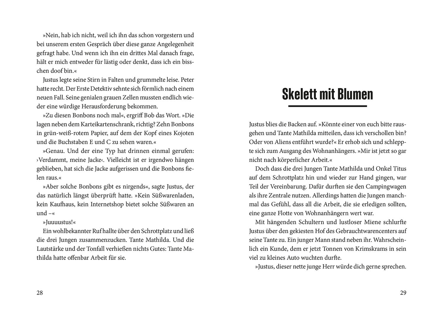 kosmos-die-drei-der-tag-der-toten-buch-grusel-krimi image 3