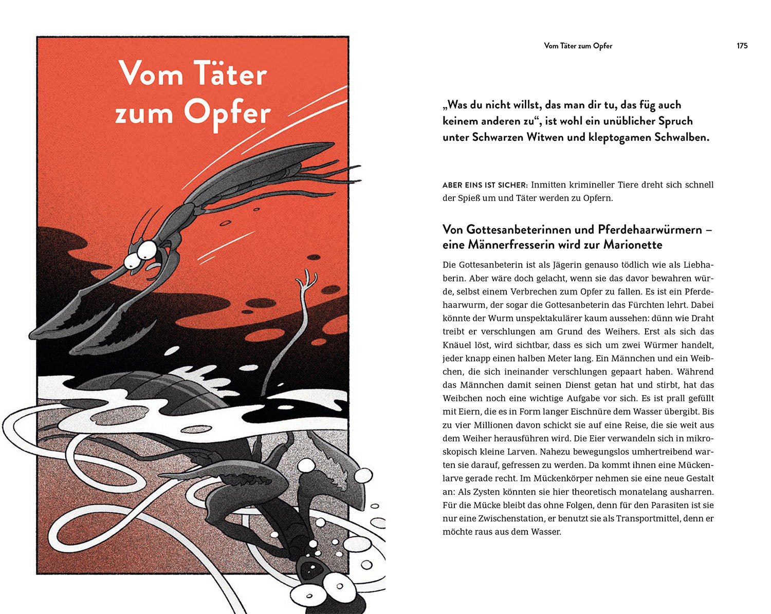 die-zauberkicker-true-crime-in-nature-ratgeber-buch-tiere image 6
