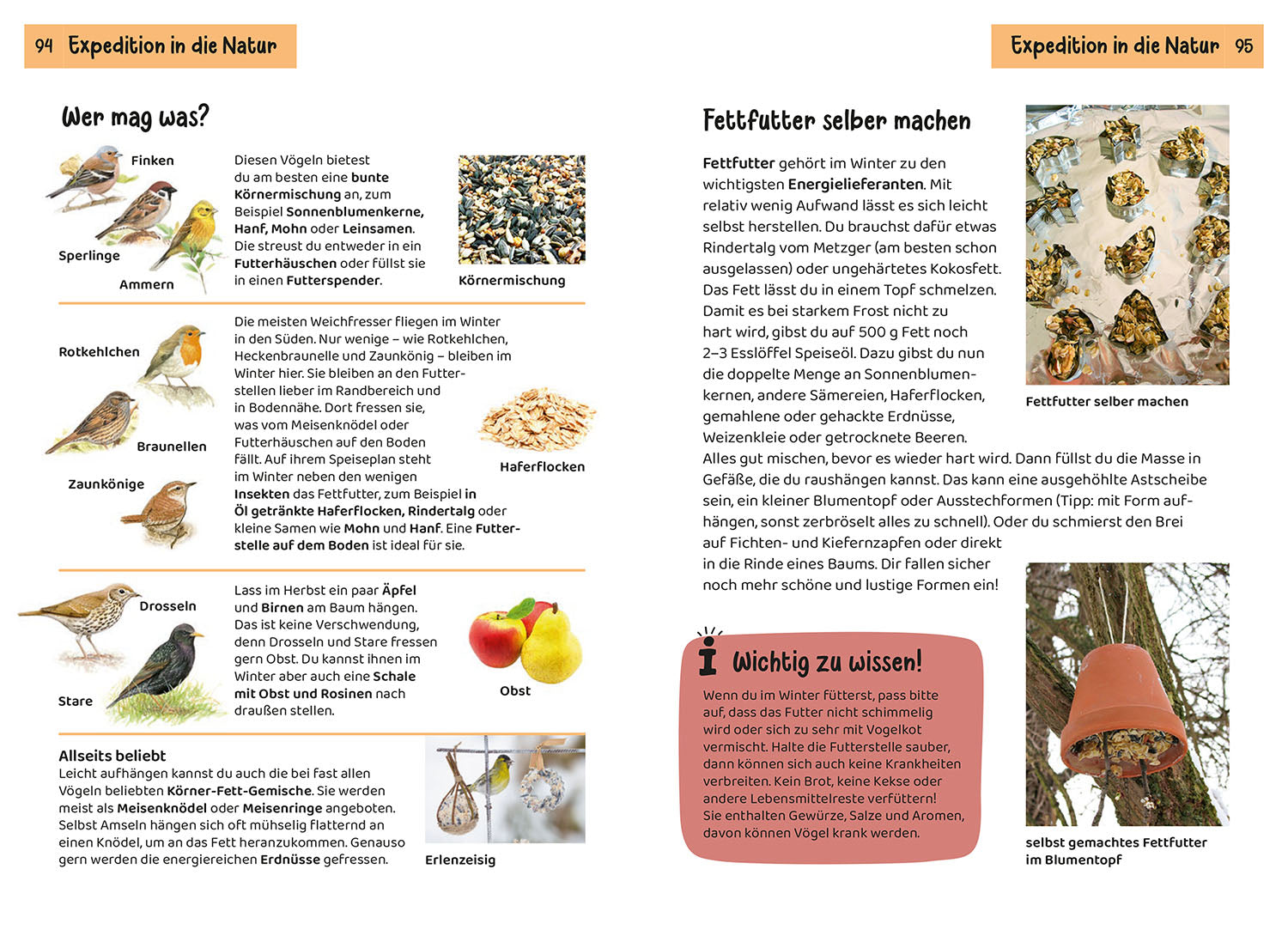 kosmos-welcher-gartenvogel-ist-das-kindernaturf-hrer-mit-app image 6