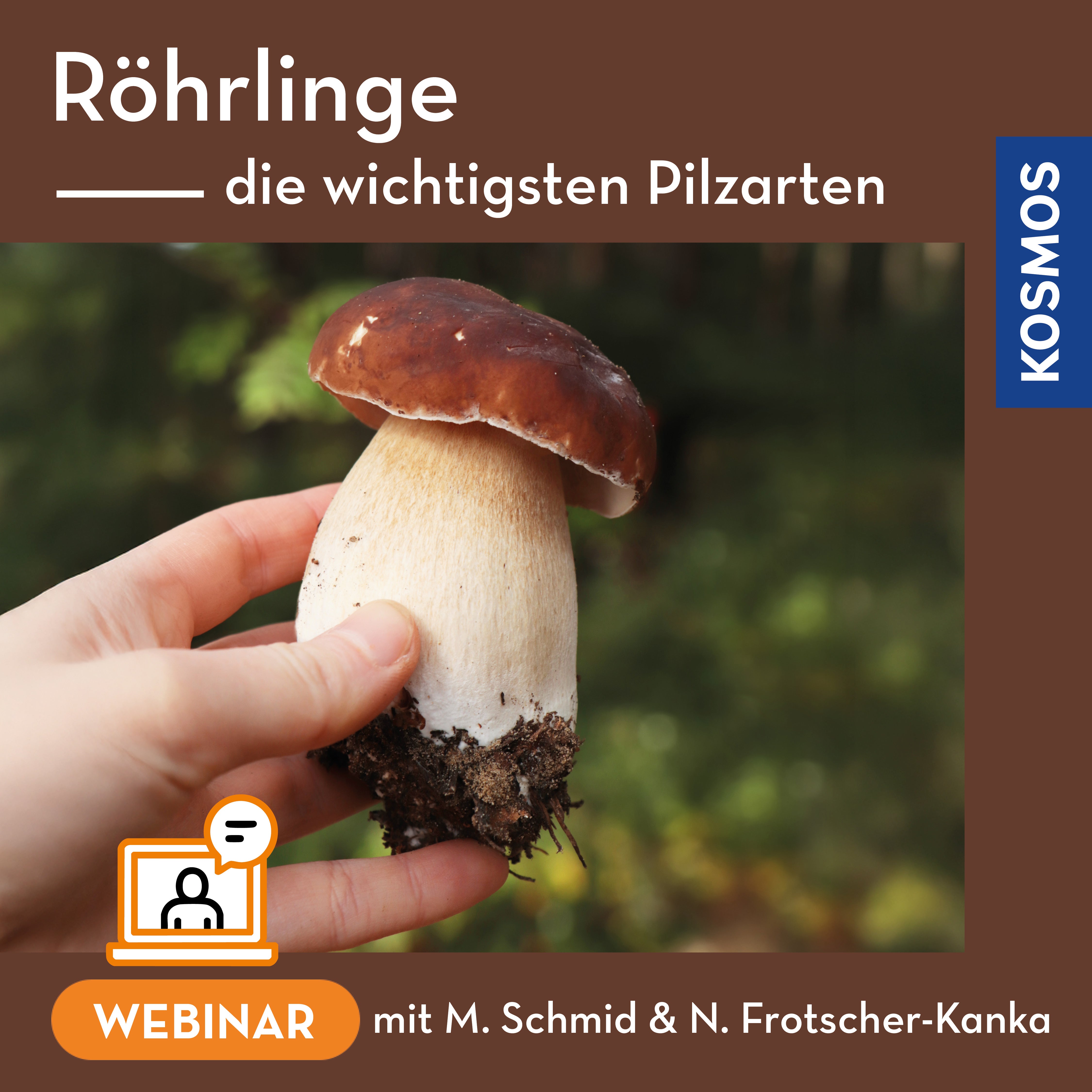 die-zauberkicker-r-hrlinge-pilzarten-live-webinar-pilzkurs image 1