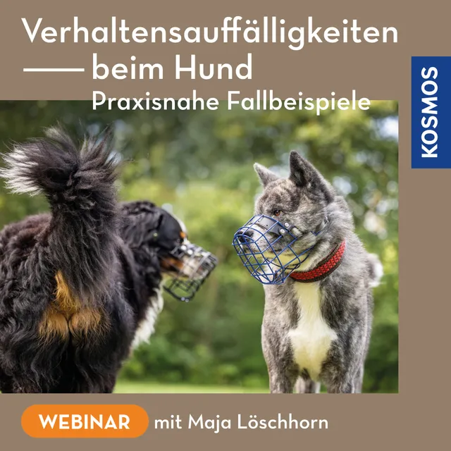 die-zauberkicker-verhaltensauff-lligkeiten-hund-webinar-live image 1